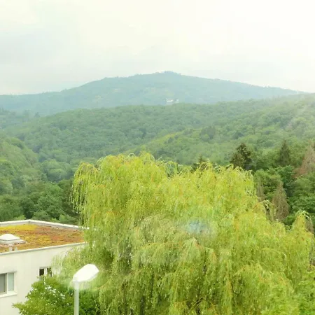 Villa Waldallee - Ferienwohnung Eppstein Экстерьер фото